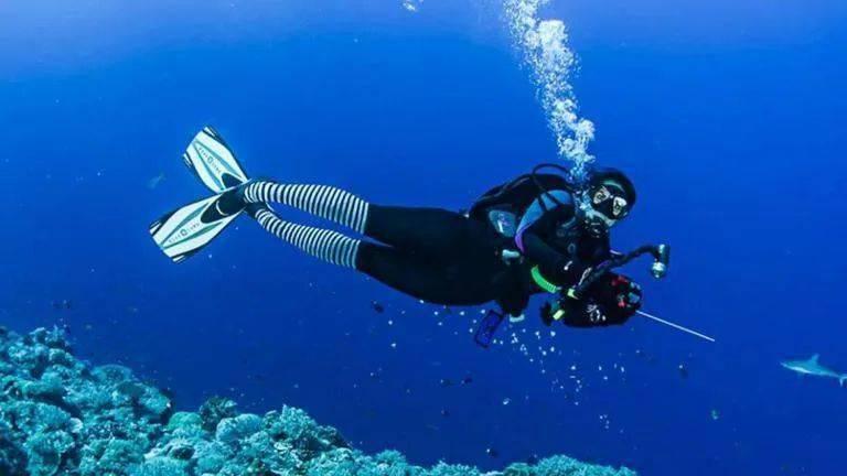 栀子落星海